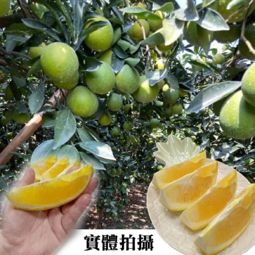 雲林古坑木瓜蜜丁 0運費【果之蔬】-圖片-6