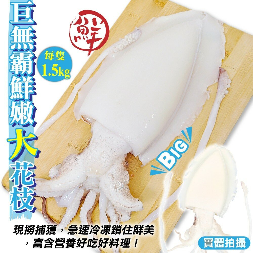 7953743352-鮮嫩活凍3XL巨無霸花枝(每隻1.5kg±10%)【海陸管家】滿額免運