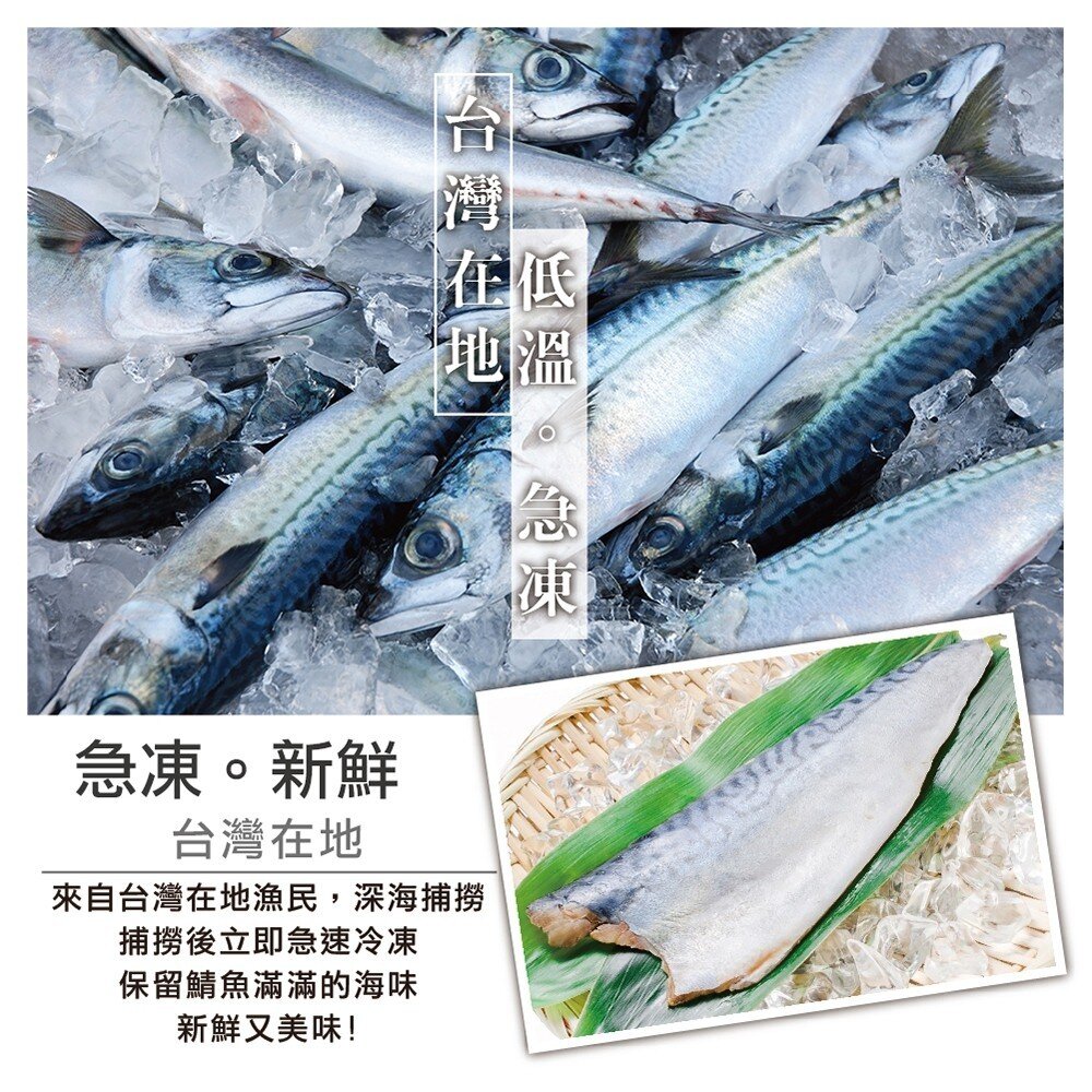 嚴選宜蘭薄鹽鯖魚(每片100-130g)【天天鮮配】滿額免運 台灣鯖魚 鯖魚片 薄鹽鯖魚 煎烤氣炸 冷凍海鮮-圖片-2
