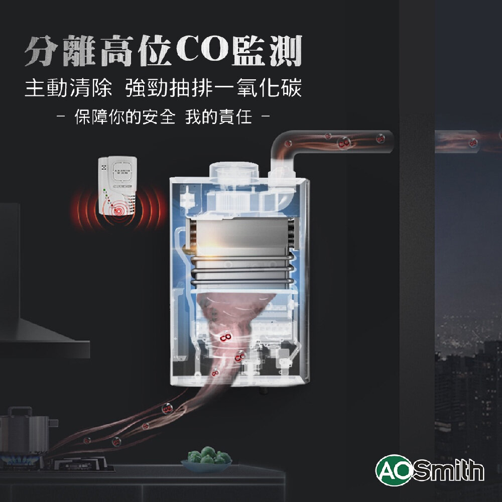 AO Smith JSQ31-ST16T 16L 瓦斯熱水器 室內商用型 防一氣化碳 僅有天然氣-圖片-3