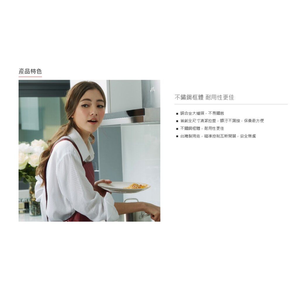 高雄 喜特麗 JT-GT201S 雙口 檯爐 瓦斯爐 限定區域送基本安裝-圖片-3