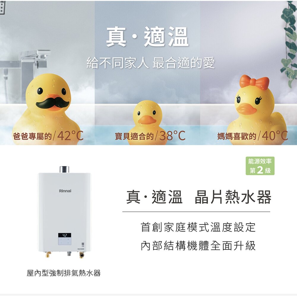 林內牌 RUA-D1600WF 屋內型強制排氣熱水器 16L  限定區域送基本安裝【KW廚房世界】-圖片-3