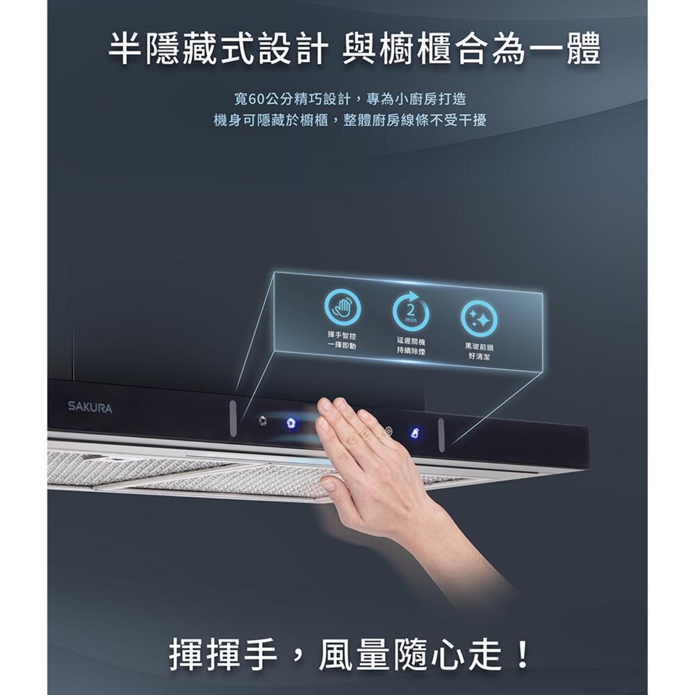 櫻花牌 R609 隱藏除油煙機 小宅系列 排油煙機 限定區域送基本安裝-圖片-4