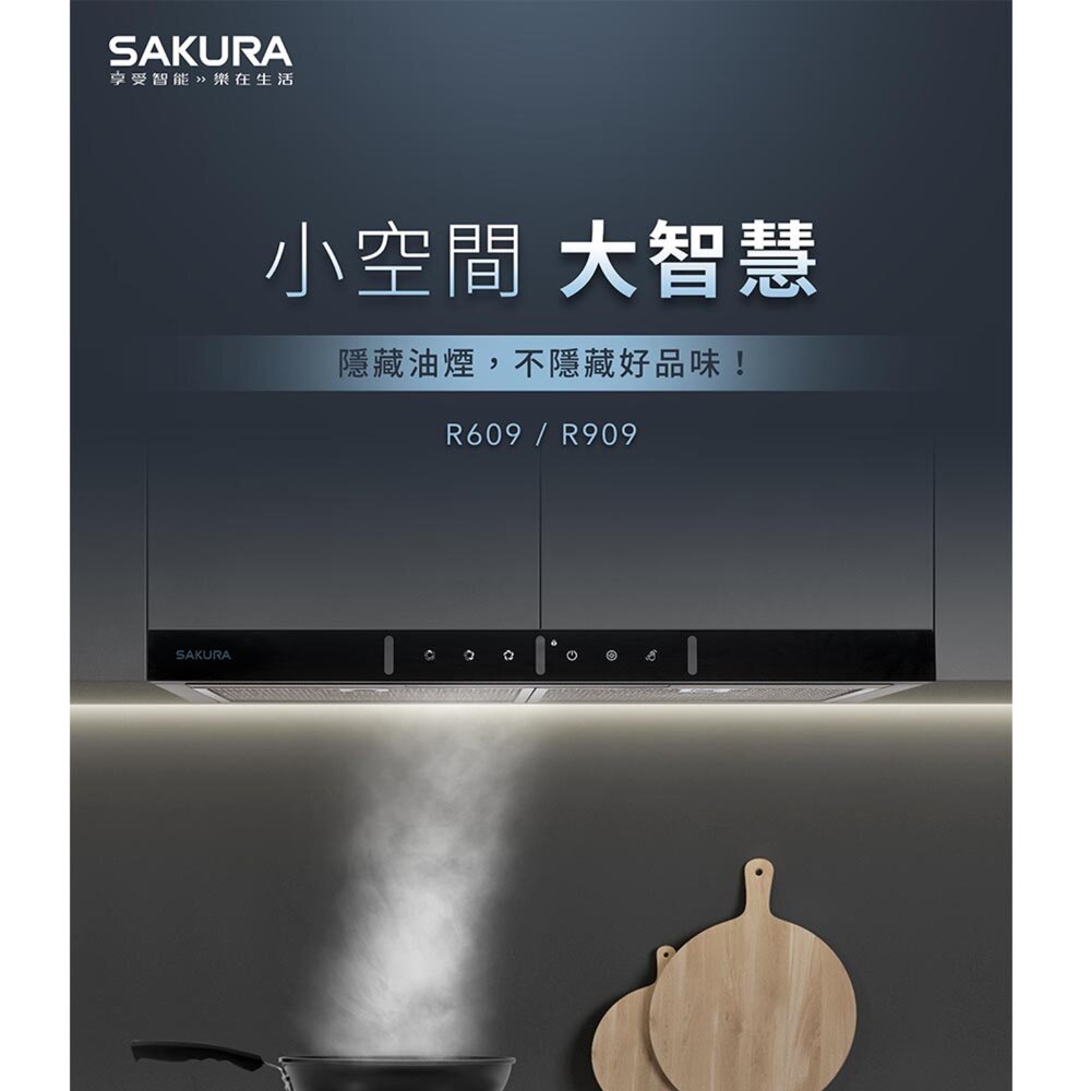 櫻花牌 R609 隱藏除油煙機 小宅系列 排油煙機 限定區域送基本安裝-圖片-6