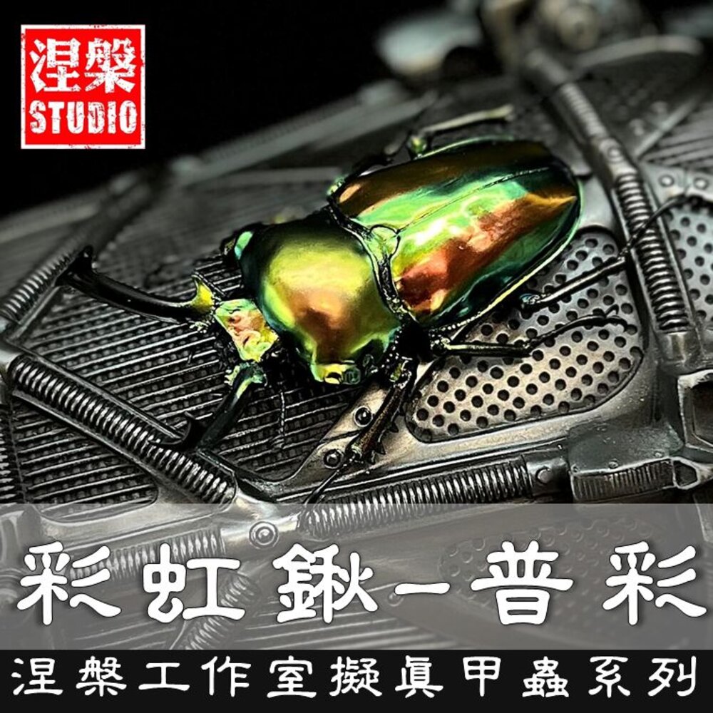 🔥現貨🔥彩虹鍬形蟲模型 涅槃工作室 甲蟲 昆蟲 鍬形蟲 擬真模型 擺飾-圖片-1
