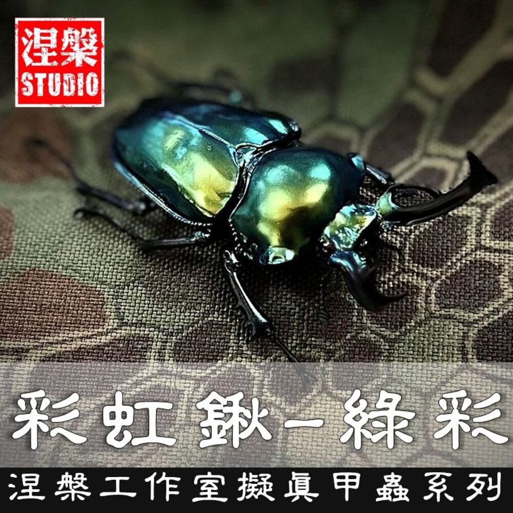 🔥現貨🔥彩虹鍬形蟲模型 涅槃工作室 甲蟲 昆蟲 鍬形蟲 擬真模型 擺飾-圖片-3