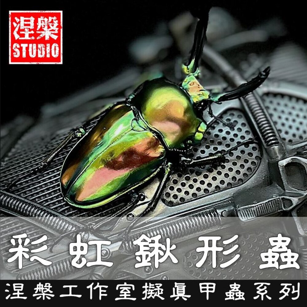 240225133824-🔥現貨🔥彩虹鍬形蟲模型 涅槃工作室 甲蟲 昆蟲 鍬形蟲 擬真模型 擺飾