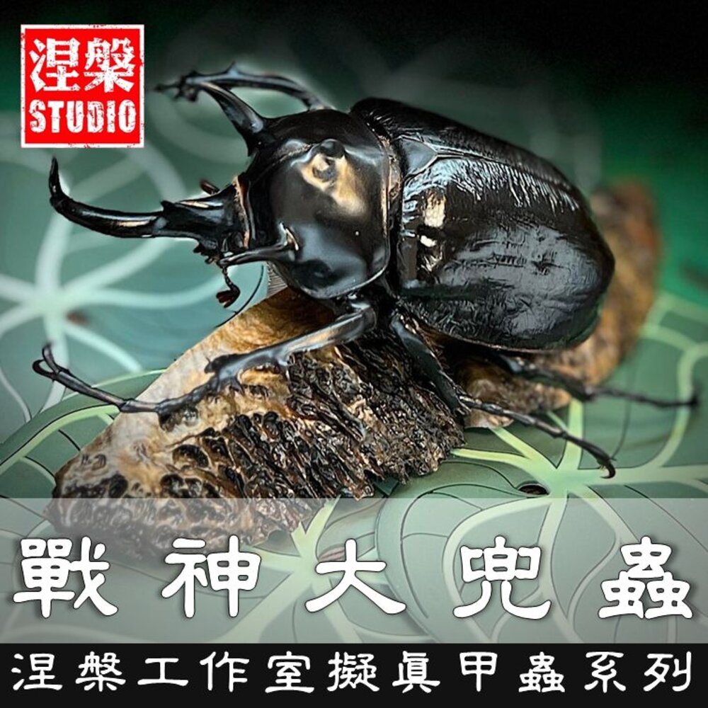 🔥現貨🔥戰神大兜蟲模型涅槃工作室戰神象兜蟲甲蟲昆蟲兜蟲擬真模型擺飾磁鐵涅盤