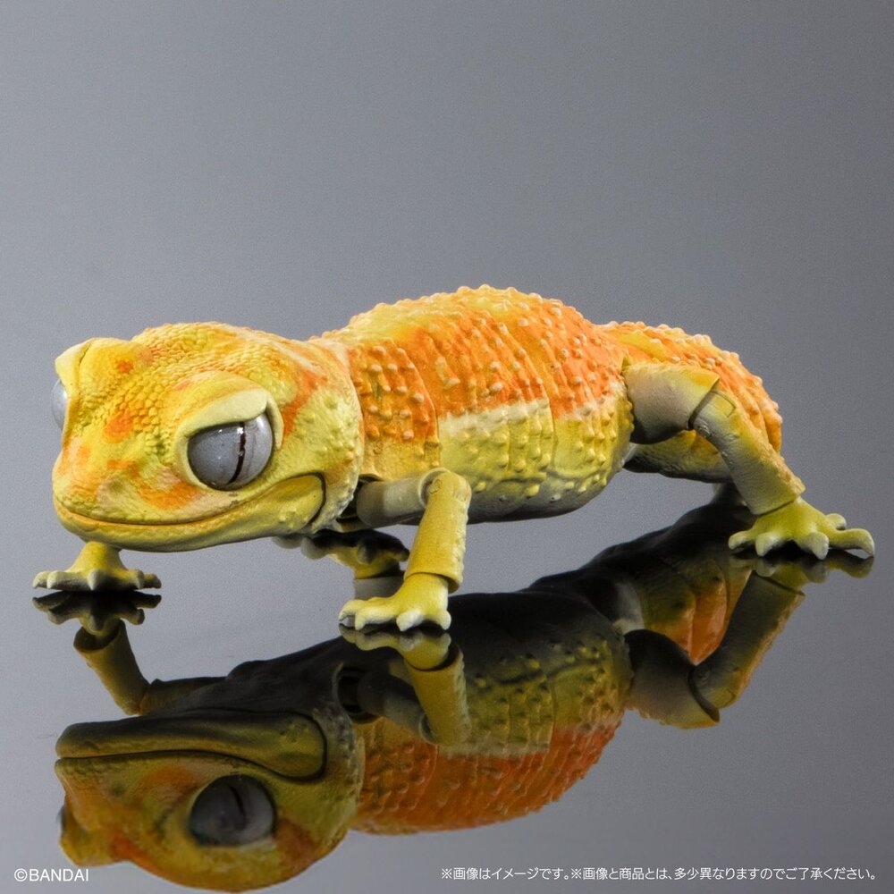 🔥現貨🔥生物大圖鑑 進擊 細皮瘤尾守宮 萬代 扭蛋 轉蛋 Advance 守宮 壁虎 蜥蜴-圖片-6