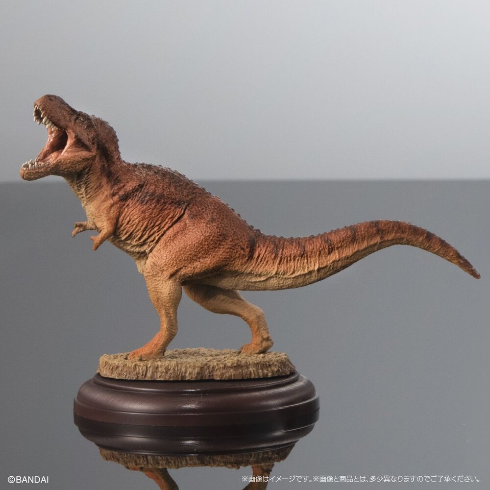 🔥現貨🔥生物大圖鑑 展示模型 恐龍02 萬代 扭蛋 轉蛋 恐龍 暴龍 迅猛龍 薄板龍 角龍-圖片-4