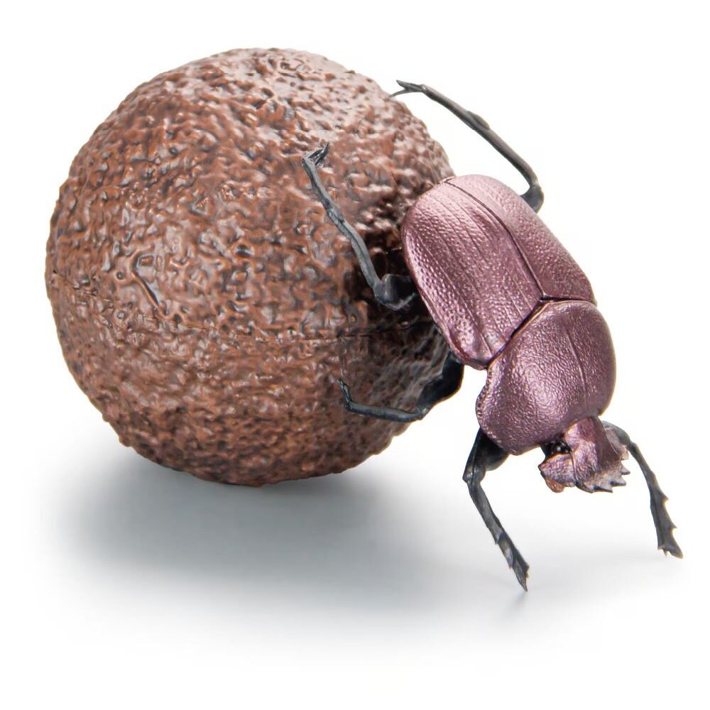 🔥現貨🔥1比1糞金龜 SO-TA 盒玩 蜣螂 金龜子 甲蟲 昆蟲 上帝巨蜣螂 象糞金龜-圖片-2