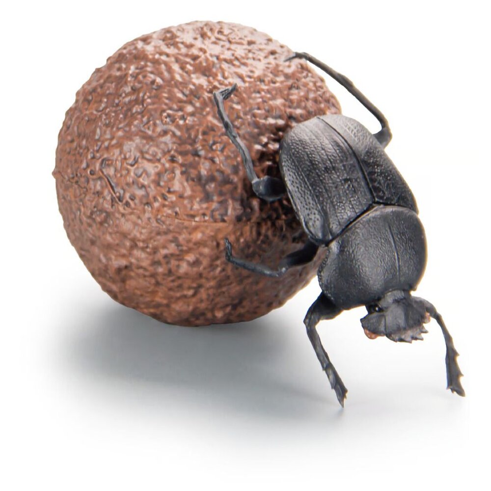 🔥現貨🔥1比1糞金龜 SO-TA 盒玩 蜣螂 金龜子 甲蟲 昆蟲 上帝巨蜣螂 象糞金龜-圖片-3