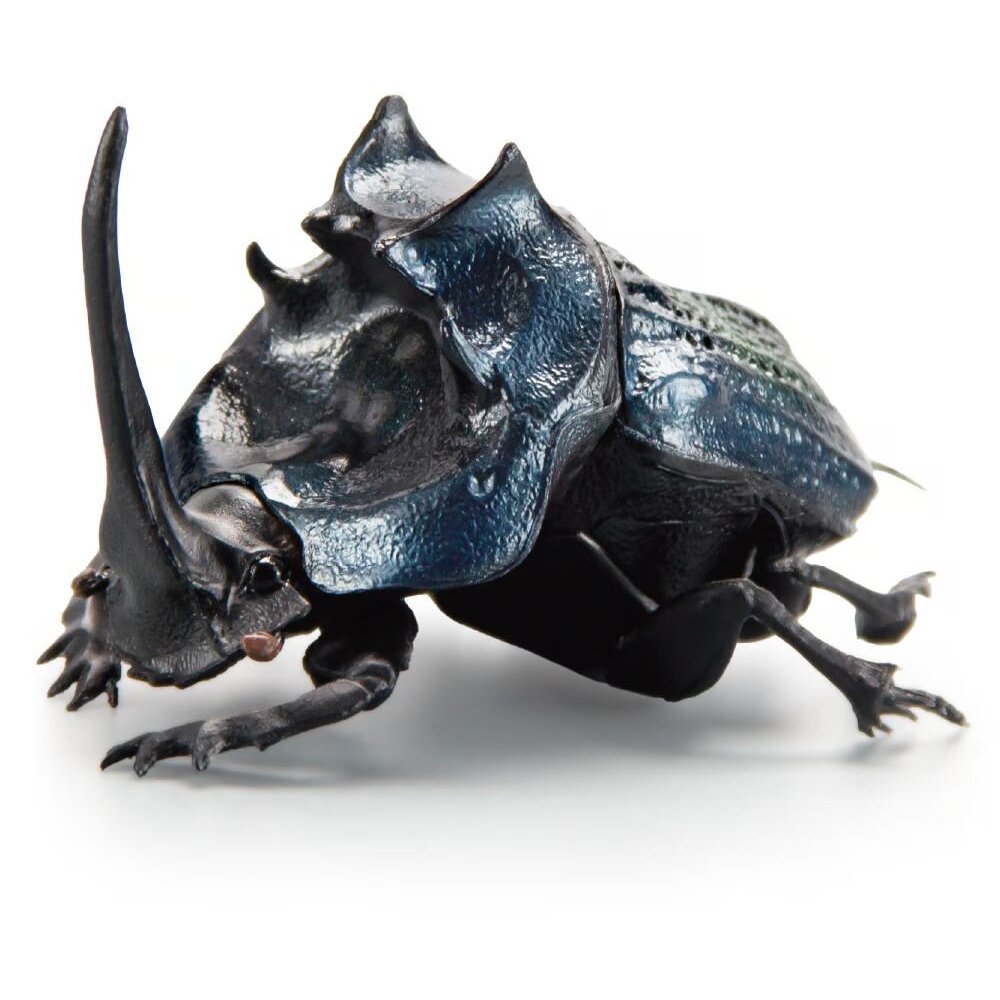 🔥現貨🔥1比1糞金龜 SO-TA 盒玩 蜣螂 金龜子 甲蟲 昆蟲 上帝巨蜣螂 象糞金龜-圖片-4