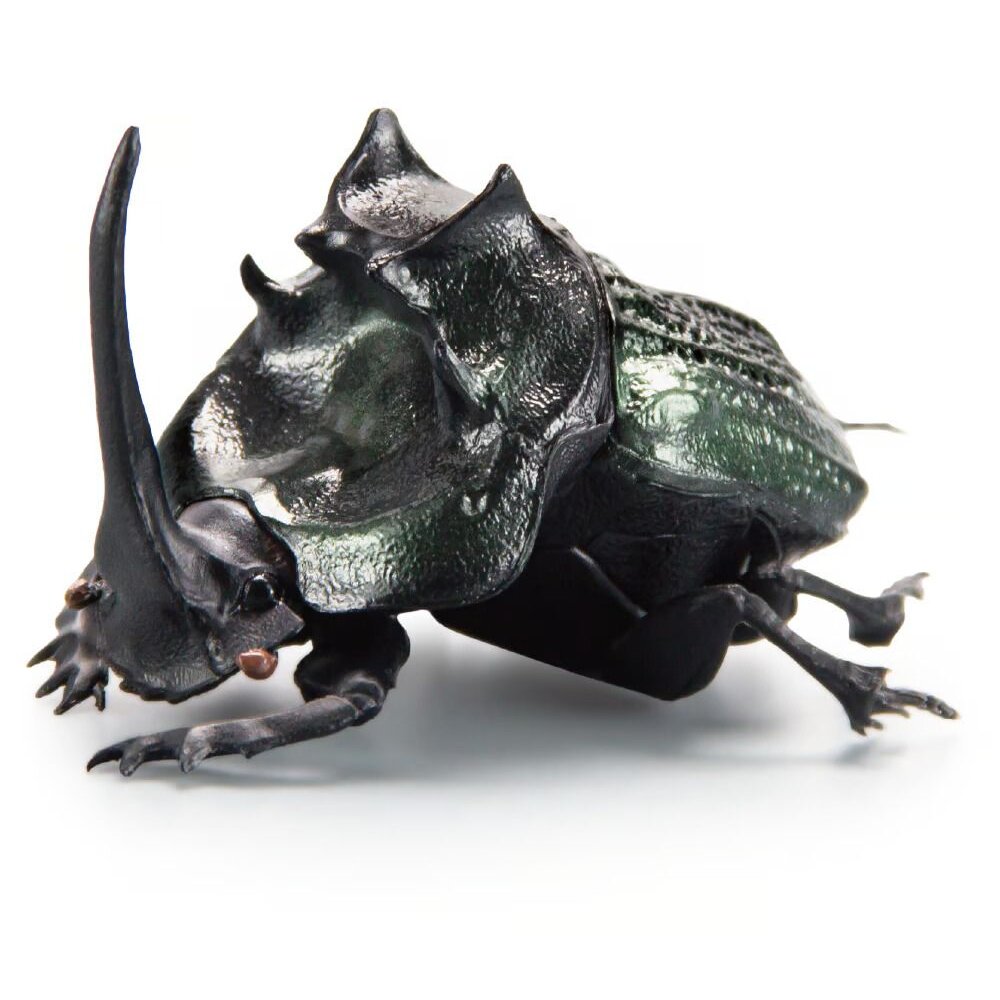 🔥現貨🔥1比1糞金龜 SO-TA 盒玩 蜣螂 金龜子 甲蟲 昆蟲 上帝巨蜣螂 象糞金龜-圖片-5