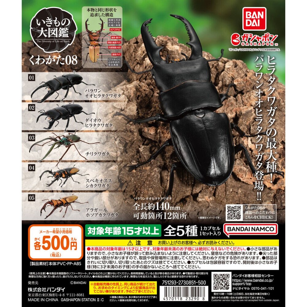 🔥現貨🔥生物大圖鑑 鍬形蟲08 萬代 扭蛋 轉蛋 甲蟲 昆蟲 巴拉望 牛頭扁 智利長牙 泰國黃金鹿角 阿拉蓋瑞 封面照片