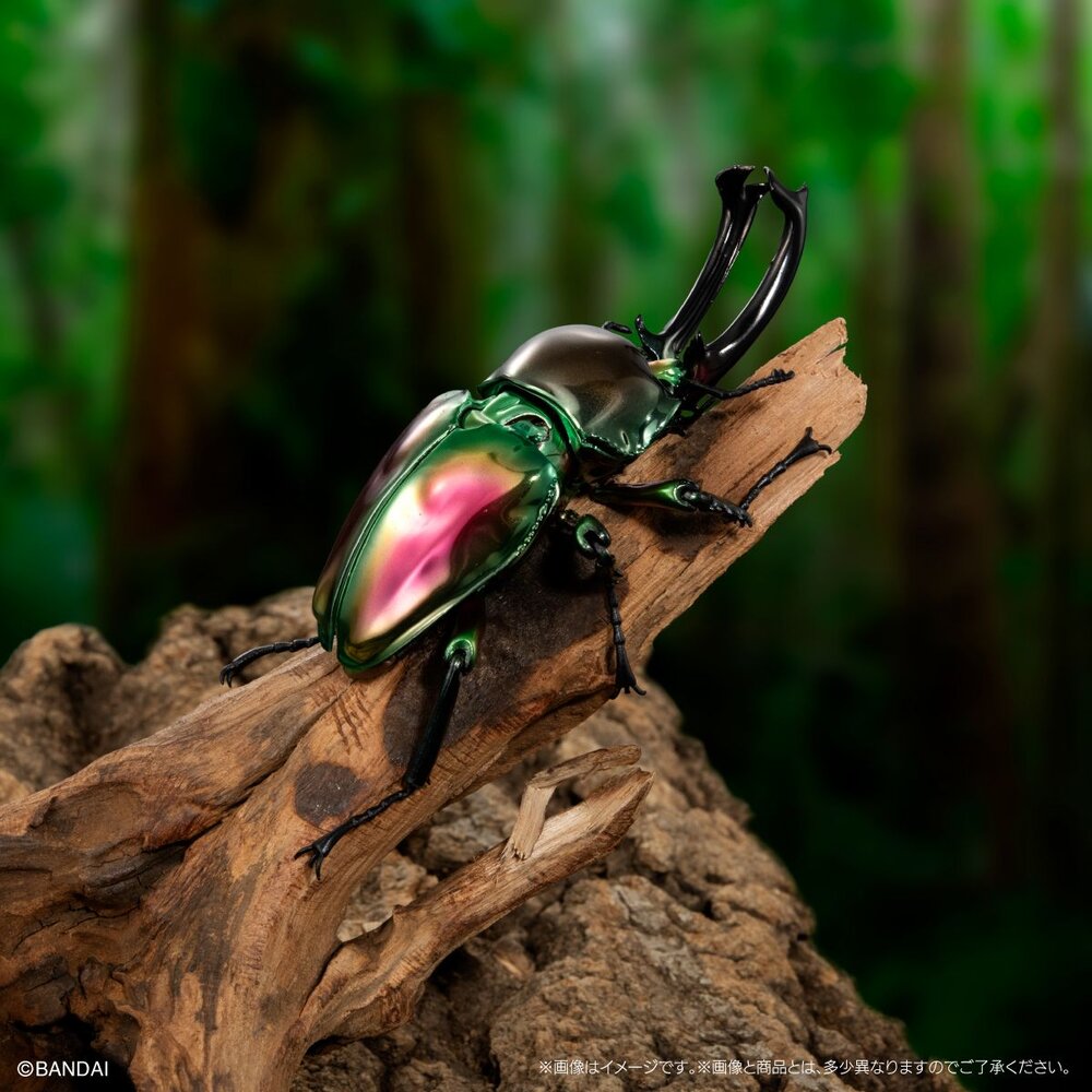 🔥現貨🔥生物大圖鑑 進擊 寶石金龜與彩虹鍬形蟲 萬代 扭蛋 轉蛋 ADVANCE 金龜子 鍬形蟲 甲蟲-圖片-1