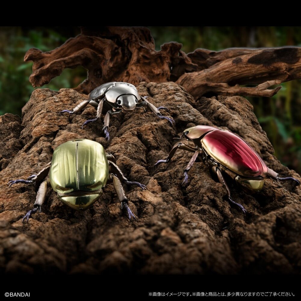 🔥現貨🔥生物大圖鑑 進擊 寶石金龜與彩虹鍬形蟲 萬代 扭蛋 轉蛋 ADVANCE 金龜子 鍬形蟲 甲蟲-圖片-2