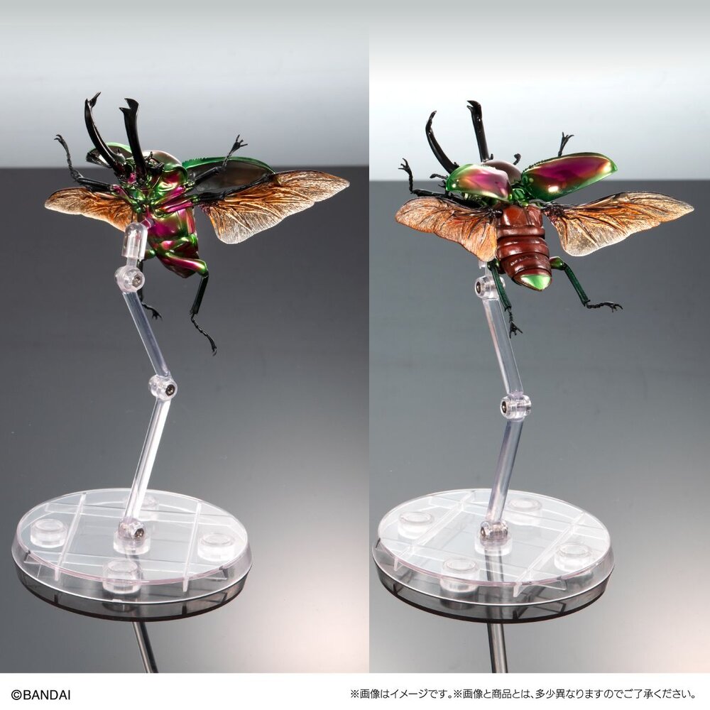 🔥現貨🔥生物大圖鑑 進擊 寶石金龜與彩虹鍬形蟲 萬代 扭蛋 轉蛋 ADVANCE 金龜子 鍬形蟲 甲蟲-圖片-4