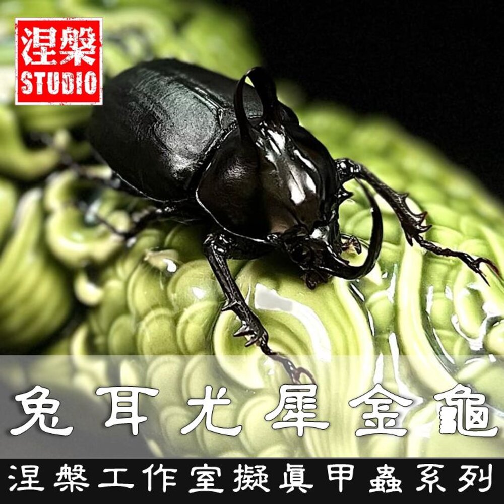 240421211929-🔥現貨🔥兔耳尤犀金龜擬真模型 涅槃工作室 兔子兜 兜蟲 金龜 甲蟲 昆蟲 擺飾 磁鐵 涅盤