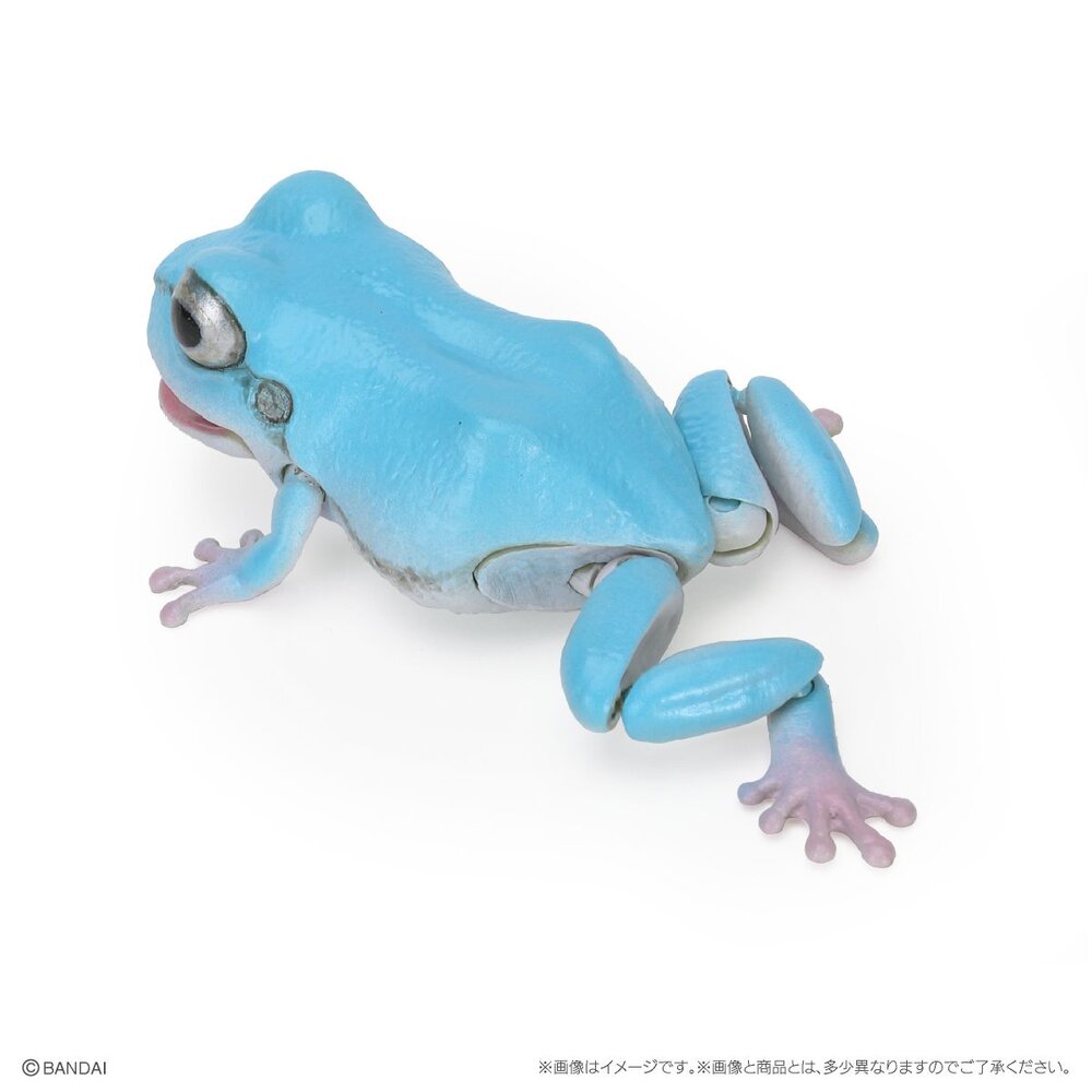 🔥現貨🔥生物大圖鑑 日本雨蛙 萬代 扭蛋 轉蛋 青蛙 樹蛙 黑斑 白化-圖片-6