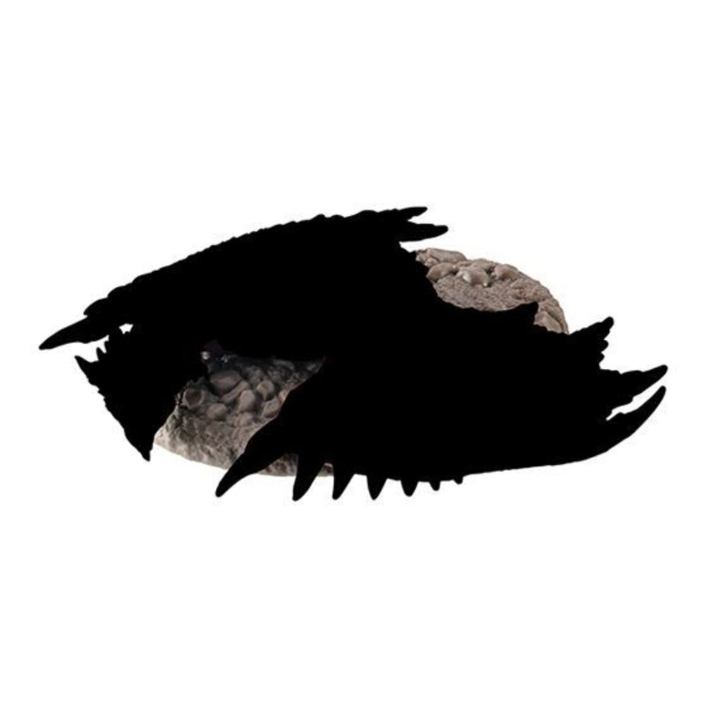 🔥現貨🔥捕獲魔物獵人公仔P2 萬代 扭蛋 轉蛋 雄火龍 轟龍 迅龍 黑蝕龍-圖片-5