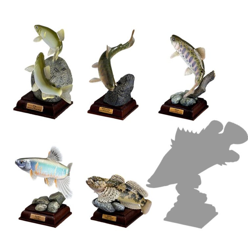 🔥現貨🔥NTC圖鑑 日本的清流 增補特裝版 IKIMON 扭蛋 轉蛋 魚 淡水魚 鱸魚 香魚 岩魚 山女鱒 平頜鱲 鈍頭-圖片-1