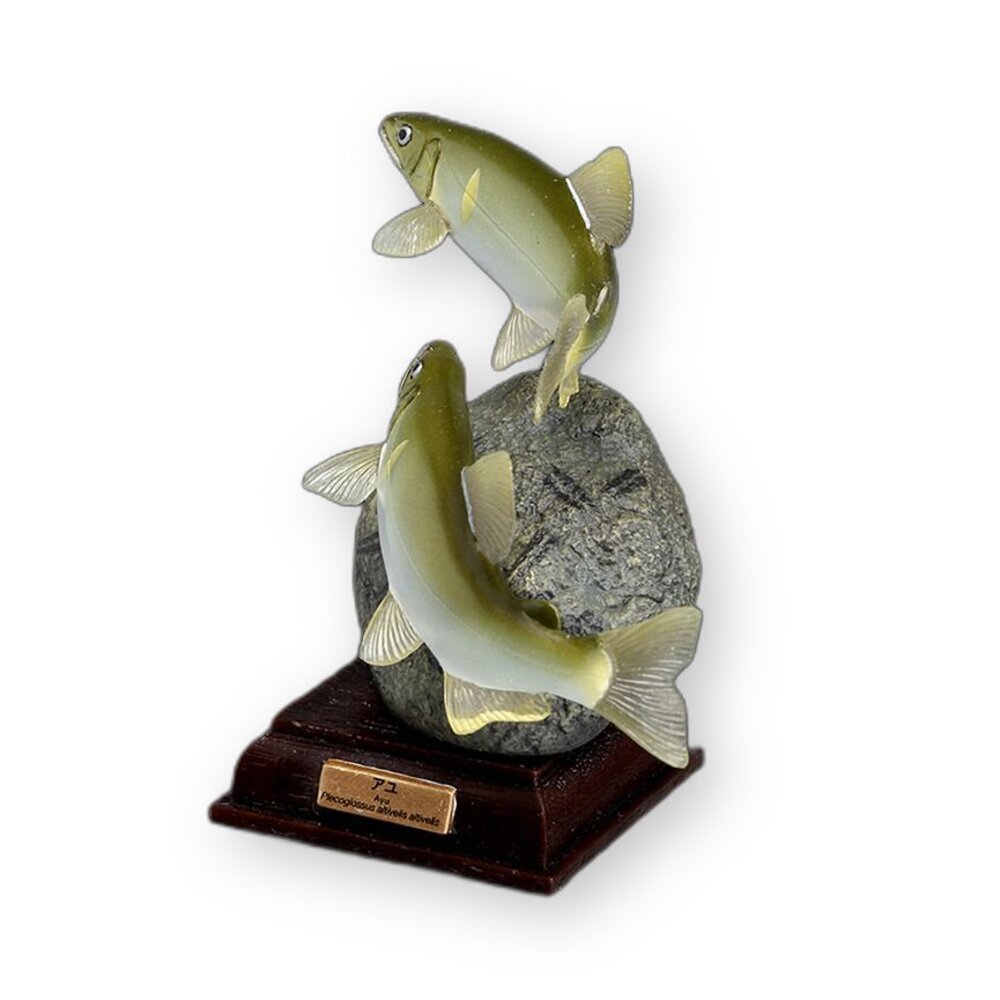 🔥現貨🔥NTC圖鑑 日本的清流 增補特裝版 IKIMON 扭蛋 轉蛋 魚 淡水魚 鱸魚 香魚 岩魚 山女鱒 平頜鱲 鈍頭-圖片-2