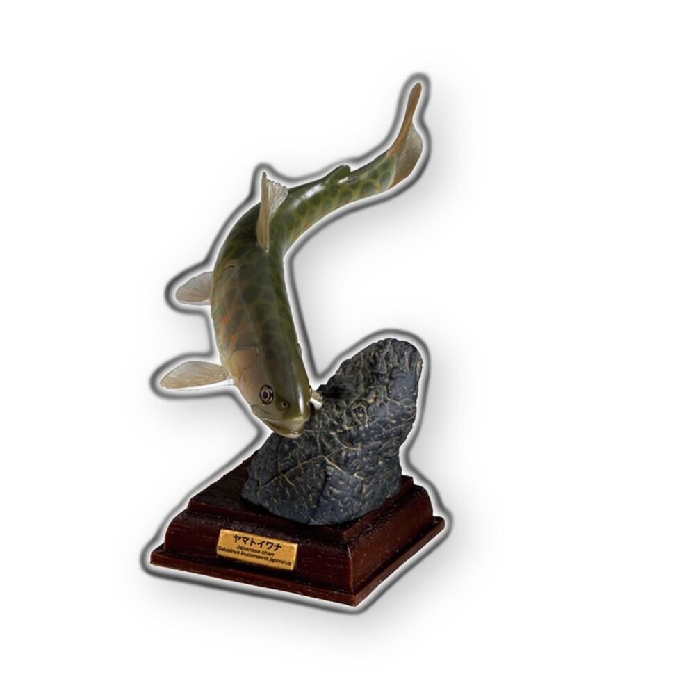 🔥現貨🔥NTC圖鑑 日本的清流 增補特裝版 IKIMON 扭蛋 轉蛋 魚 淡水魚 鱸魚 香魚 岩魚 山女鱒 平頜鱲 鈍頭-圖片-3