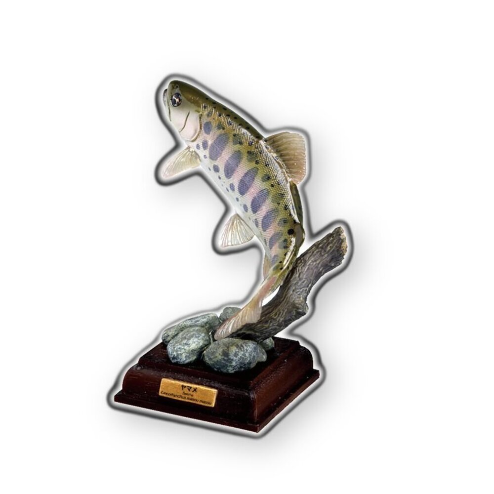 🔥現貨🔥NTC圖鑑 日本的清流 增補特裝版 IKIMON 扭蛋 轉蛋 魚 淡水魚 鱸魚 香魚 岩魚 山女鱒 平頜鱲 鈍頭-圖片-4