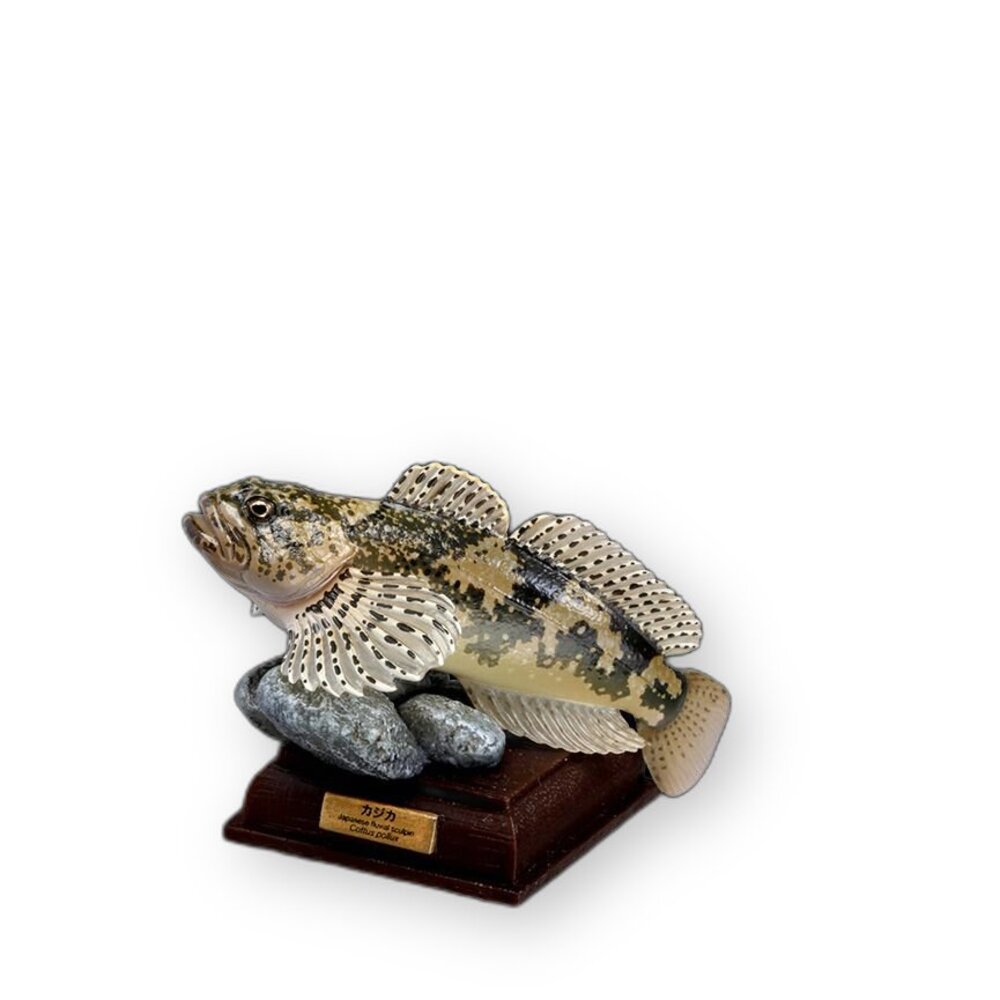 🔥現貨🔥NTC圖鑑 日本的清流 增補特裝版 IKIMON 扭蛋 轉蛋 魚 淡水魚 鱸魚 香魚 岩魚 山女鱒 平頜鱲 鈍頭-圖片-6