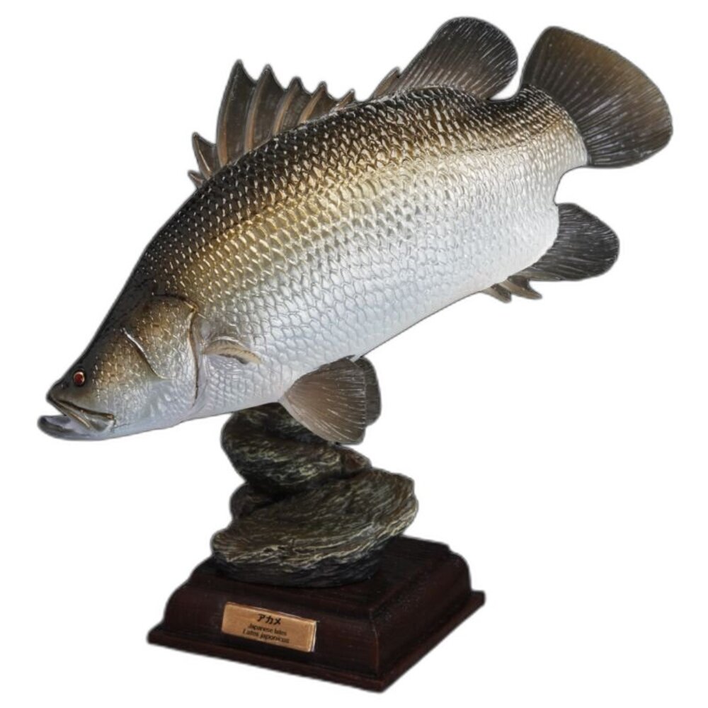 🔥現貨🔥NTC圖鑑 日本的清流 增補特裝版 IKIMON 扭蛋 轉蛋 魚 淡水魚 鱸魚 香魚 岩魚 山女鱒 平頜鱲 鈍頭-圖片-7