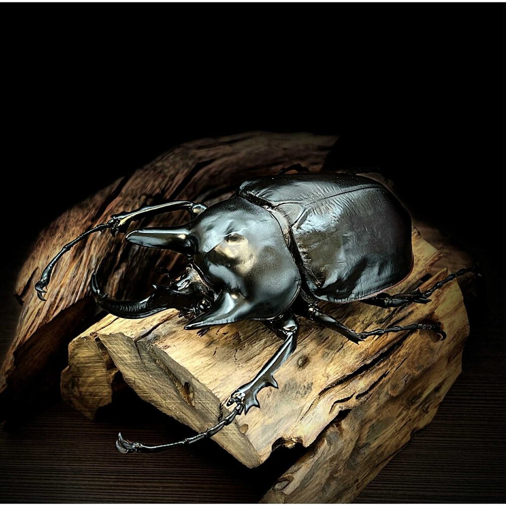 🔥現貨🔥亞克提恩大兜蟲 涅槃工作室 甲蟲 昆蟲 擬真模型 擺飾 磁鐵 涅盤-圖片-2