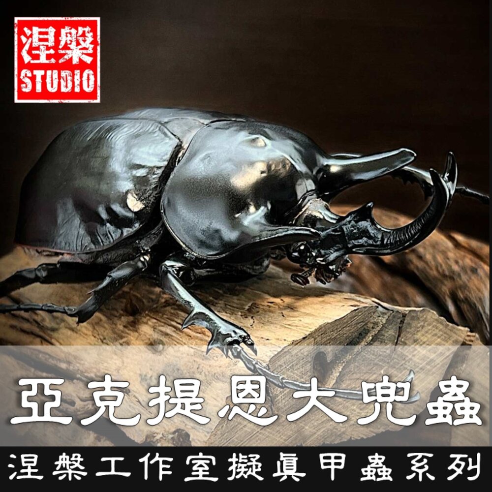 🔥現貨🔥亞克提恩大兜蟲涅槃工作室甲蟲昆蟲擬真模型擺飾磁鐵涅盤