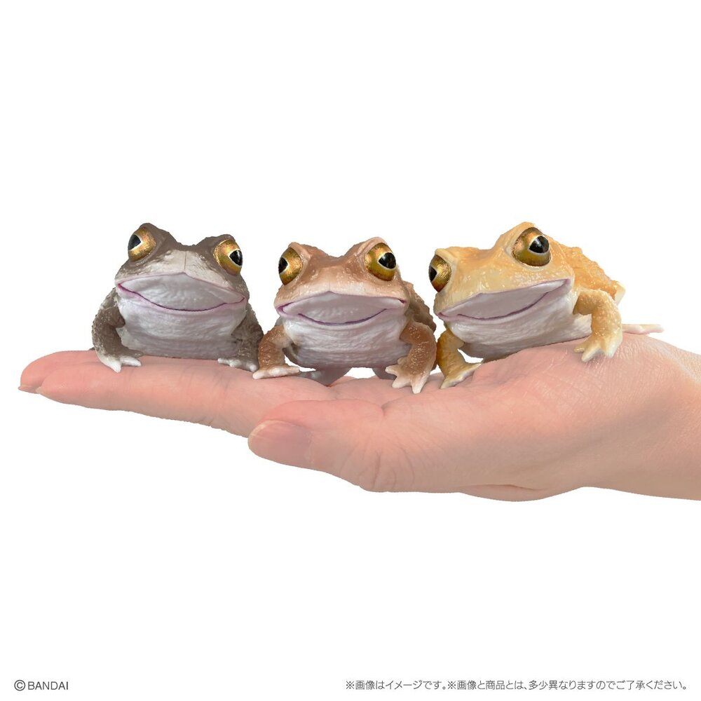 🔥現貨🔥 生物大圖鑑 日本蟾蜍與樹蛙 萬代 扭蛋 轉蛋 青蛙 雨蛙-圖片-2