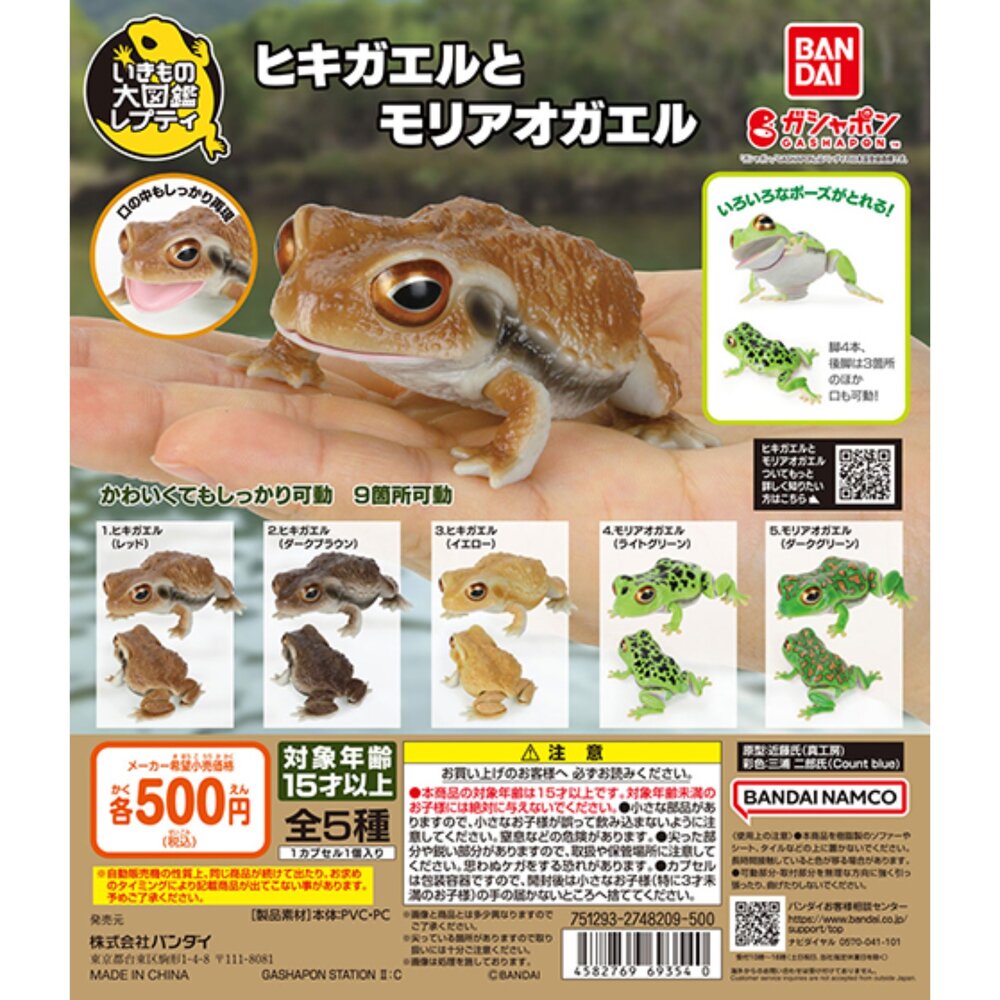 240701215407-🔥現貨🔥 生物大圖鑑 日本蟾蜍與樹蛙 萬代 扭蛋 轉蛋 青蛙 雨蛙