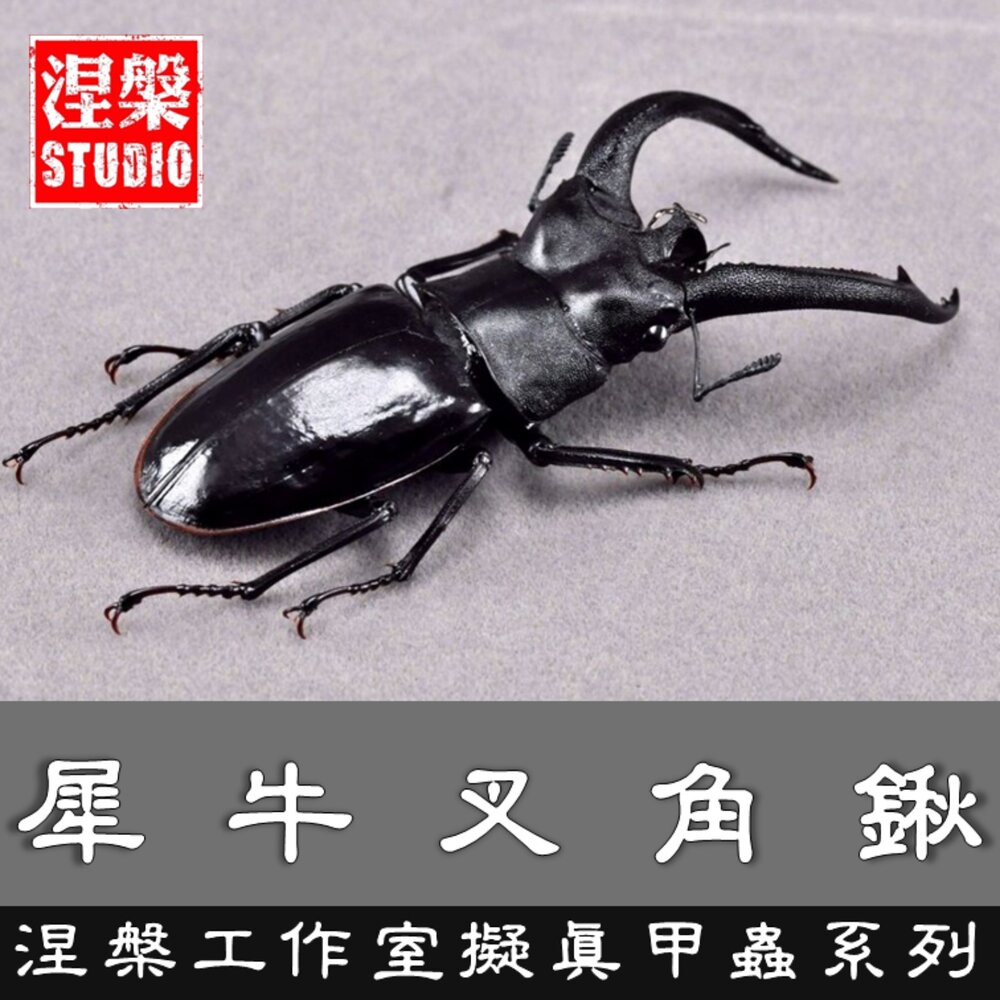 🔥現貨🔥犀牛叉角鍬形蟲模型 涅槃工作室 甲蟲 昆蟲 鍬形蟲 擬真模型 擺飾 磁鐵 涅盤 封面照片