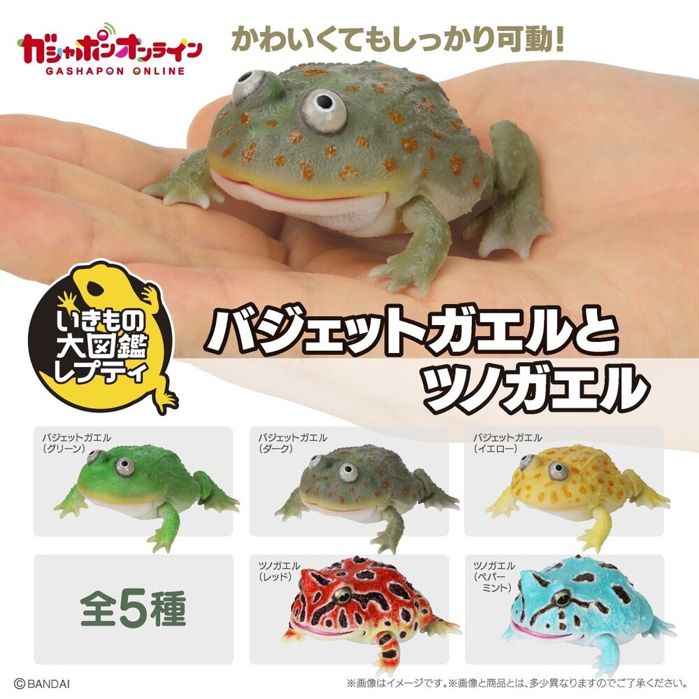 🔥現貨🔥生物大圖鑑 小丑蛙與角蛙 萬代 扭蛋 轉蛋 青蛙 圓眼珍珠蛙-圖片-1