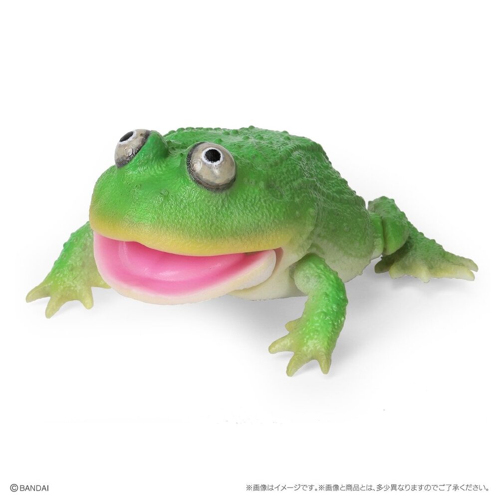 🔥現貨🔥生物大圖鑑 小丑蛙與角蛙 萬代 扭蛋 轉蛋 青蛙 圓眼珍珠蛙-圖片-2
