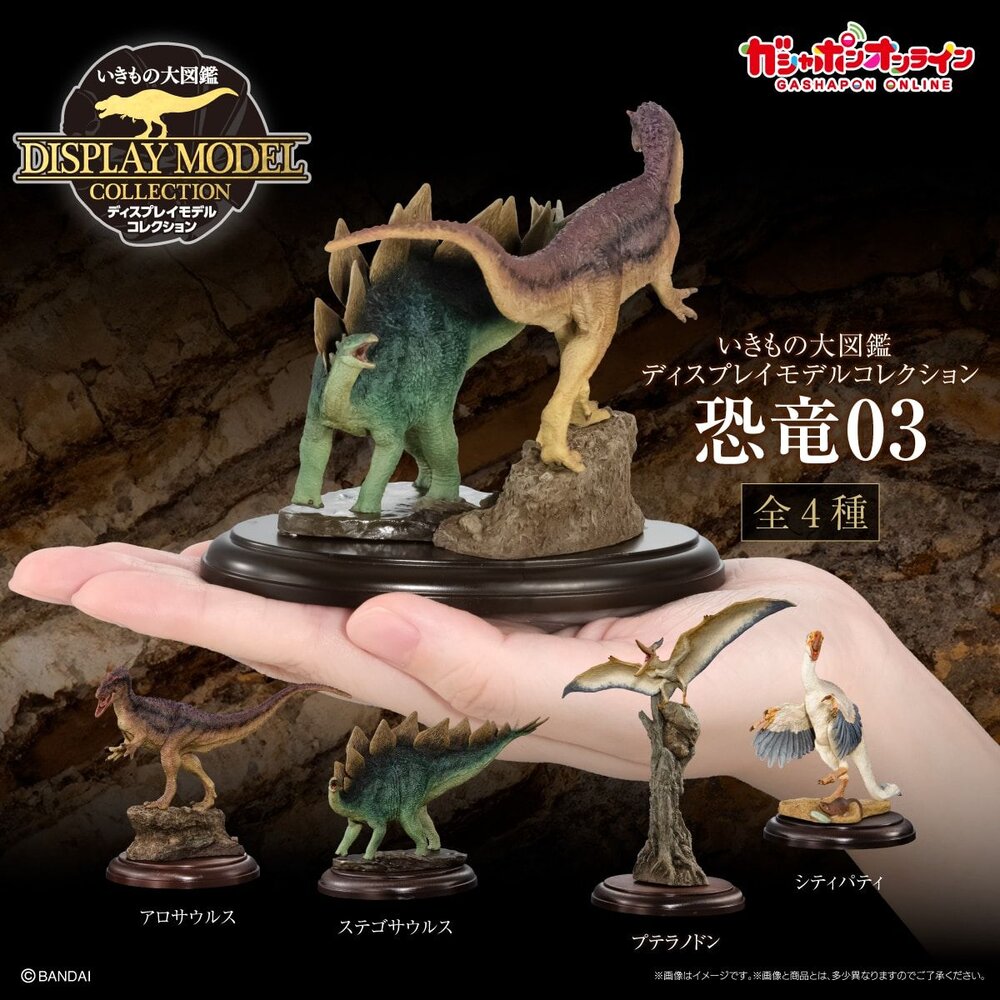 🔥現貨🔥生物大圖鑑 展示模型 恐龍03 萬代 扭蛋 轉蛋 異特龍 劍龍 翼龍 葬火龍-圖片-1
