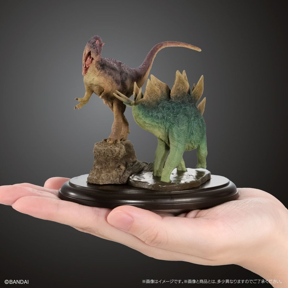 🔥現貨🔥生物大圖鑑 展示模型 恐龍03 萬代 扭蛋 轉蛋 異特龍 劍龍 翼龍 葬火龍-圖片-2