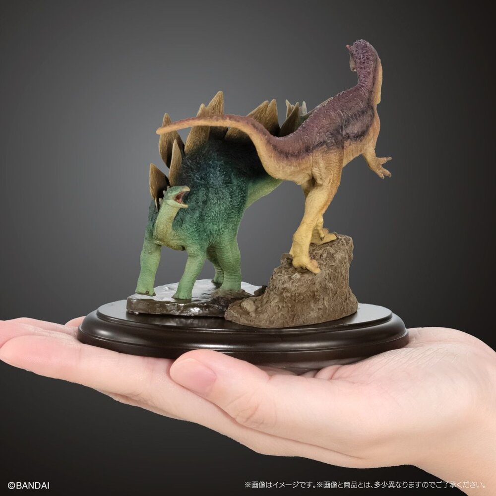 🔥現貨🔥生物大圖鑑 展示模型 恐龍03 萬代 扭蛋 轉蛋 異特龍 劍龍 翼龍 葬火龍-圖片-3