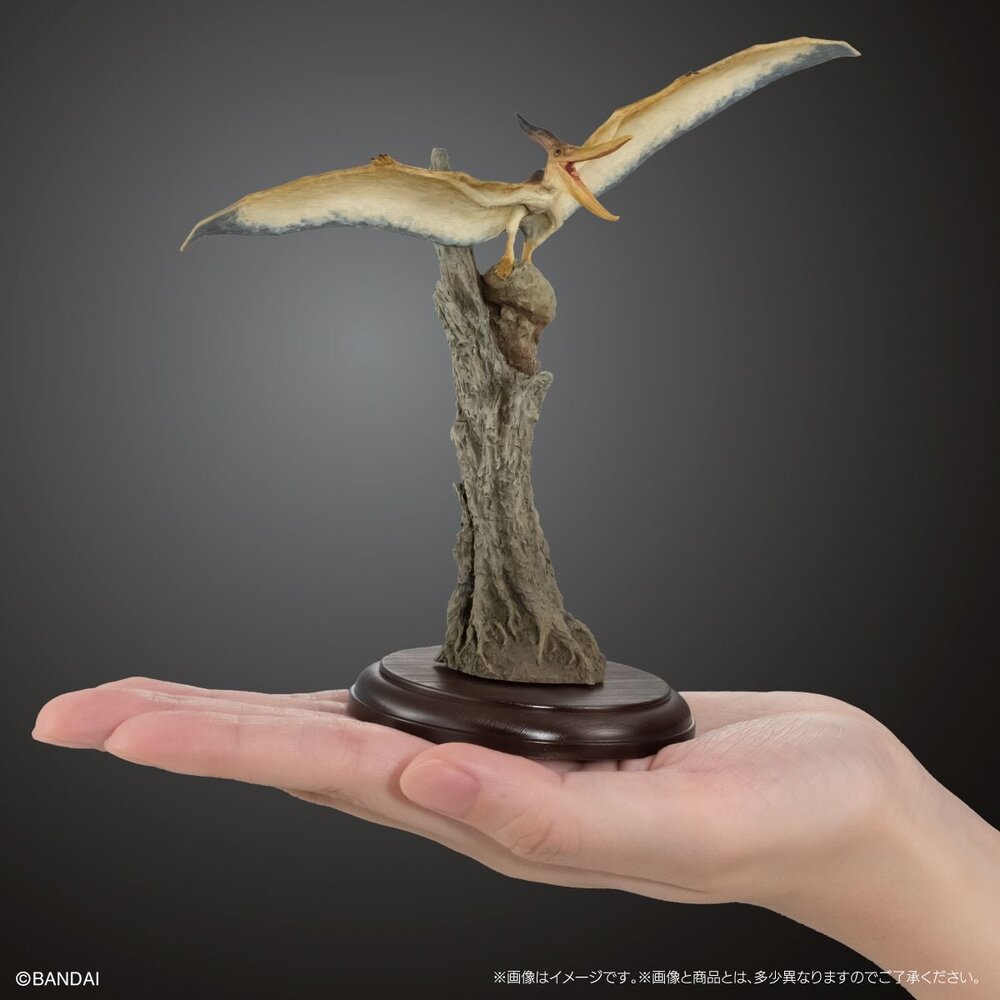 🔥現貨🔥生物大圖鑑 展示模型 恐龍03 萬代 扭蛋 轉蛋 異特龍 劍龍 翼龍 葬火龍-圖片-4