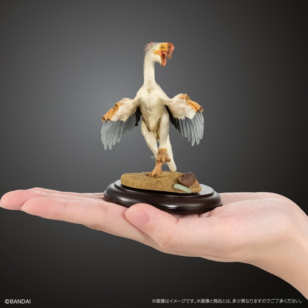 🔥現貨🔥生物大圖鑑 展示模型 恐龍03 萬代 扭蛋 轉蛋 異特龍 劍龍 翼龍 葬火龍-圖片-5