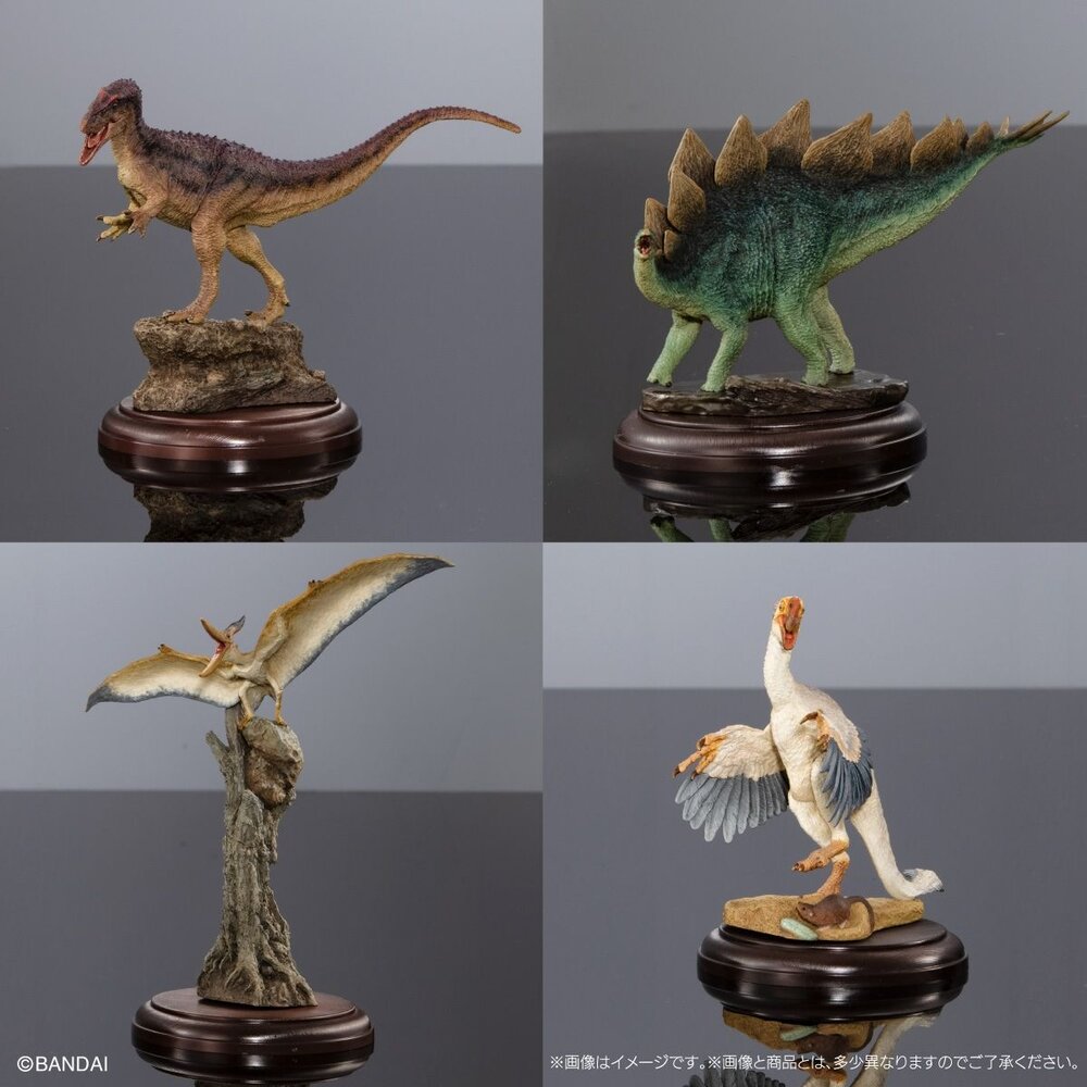 🔥現貨🔥生物大圖鑑 展示模型 恐龍03 萬代 扭蛋 轉蛋 異特龍 劍龍 翼龍 葬火龍-圖片-6