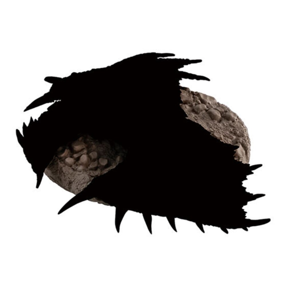 🔥現貨🔥捕獲魔物獵人公仔P3 萬代 扭蛋 轉蛋 角龍 金獅子 冰牙龍-圖片-5