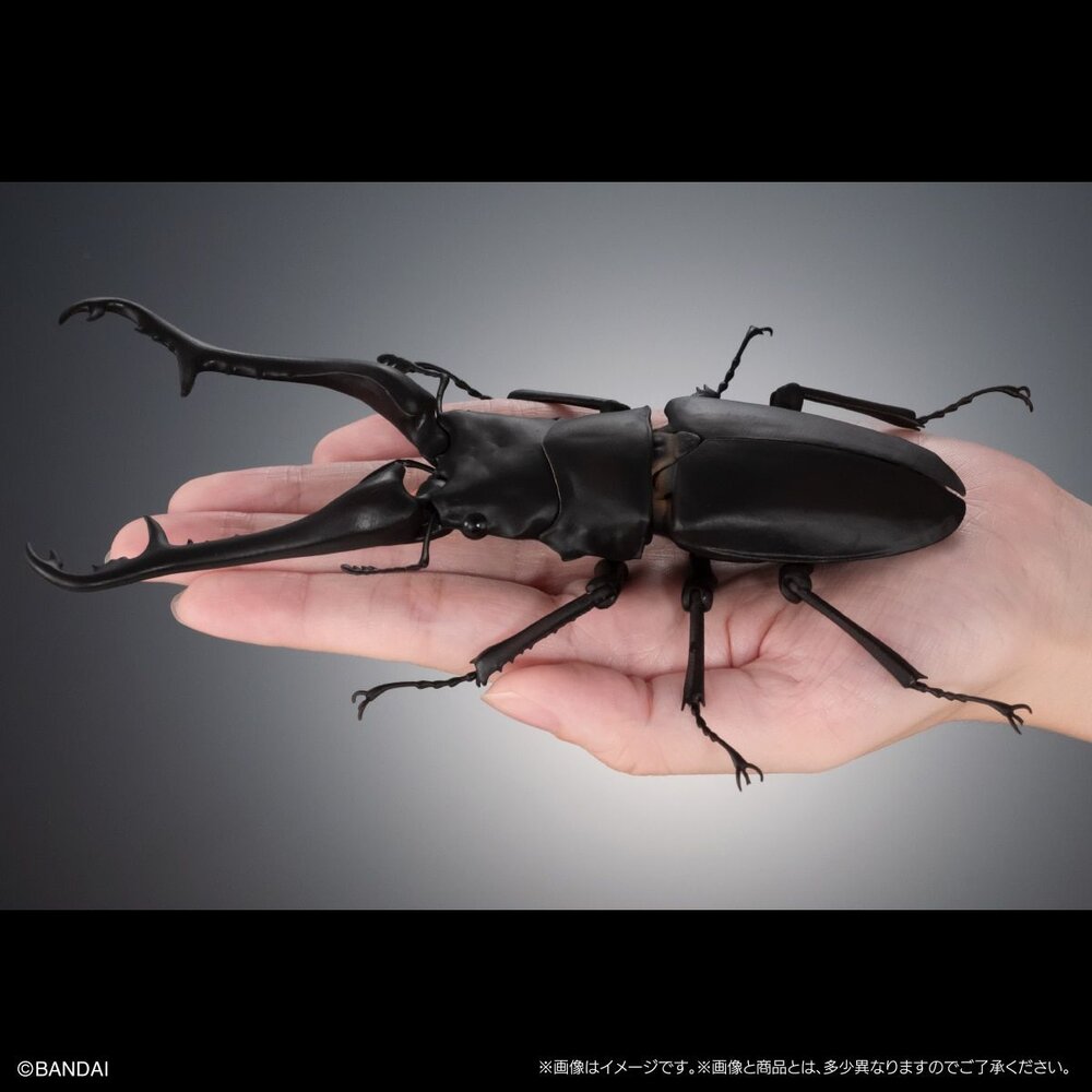 🔥現貨🔥生物大圖鑑 進擊 鍬形蟲01 萬代 扭蛋 轉蛋 長頸鹿巨鍬形蟲 巨顎叉角鍬形蟲 甲蟲 昆蟲 advance-圖片-2