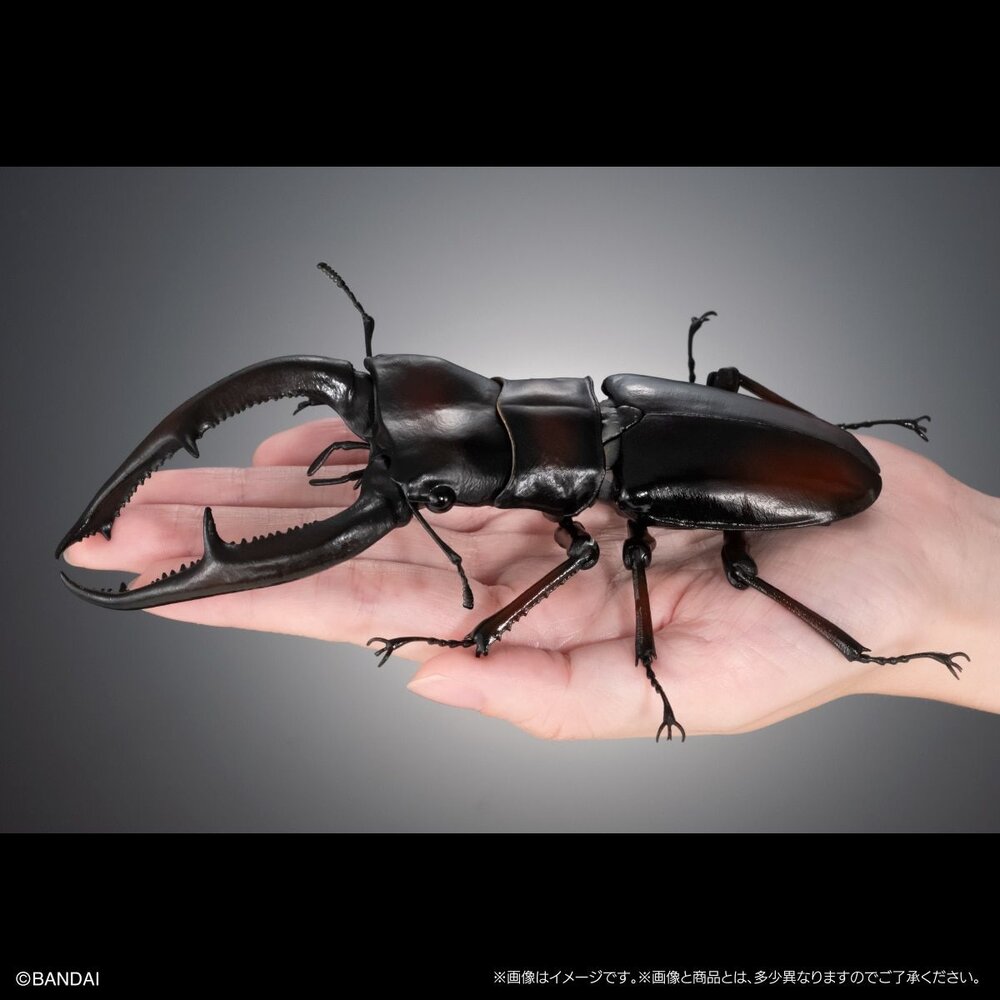 🔥現貨🔥生物大圖鑑 進擊 鍬形蟲01 萬代 扭蛋 轉蛋 長頸鹿巨鍬形蟲 巨顎叉角鍬形蟲 甲蟲 昆蟲 advance-圖片-3
