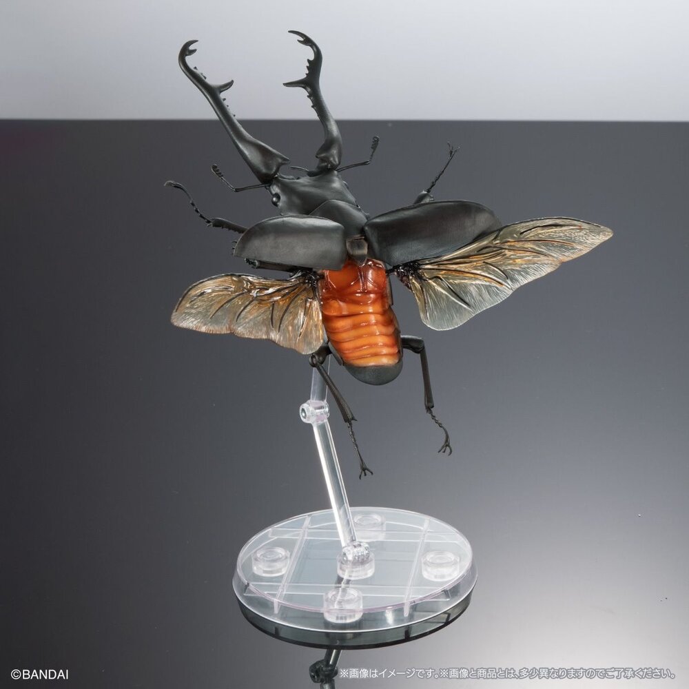 🔥現貨🔥生物大圖鑑 進擊 鍬形蟲01 萬代 扭蛋 轉蛋 長頸鹿巨鍬形蟲 巨顎叉角鍬形蟲 甲蟲 昆蟲 advance-圖片-6