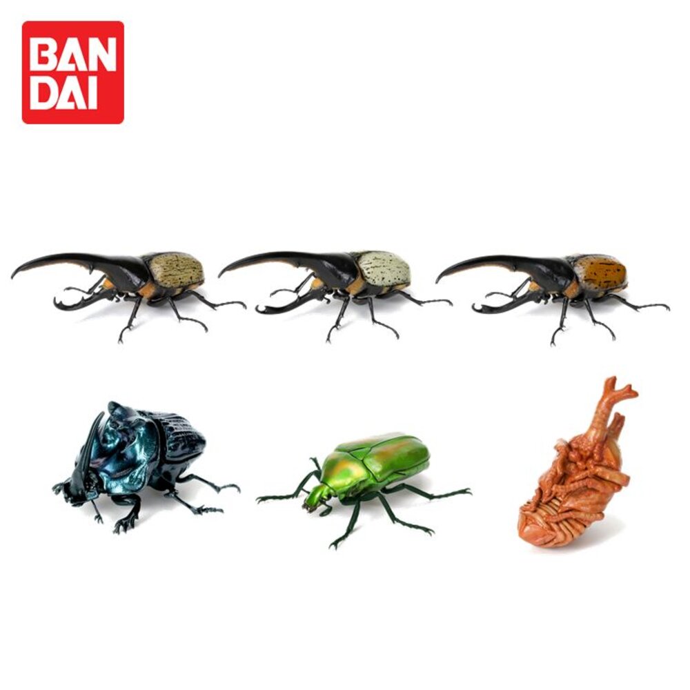 🔥現貨🔥生物大圖鑑 甲蟲07 萬代 扭蛋 轉蛋 赫克力士 長戟大兜蟲 螂蜣 金龜子 獨角仙 蛹-圖片-6