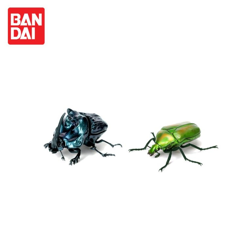 🔥現貨🔥生物大圖鑑 甲蟲07 萬代 扭蛋 轉蛋 赫克力士 長戟大兜蟲 螂蜣 金龜子 獨角仙 蛹-圖片-7
